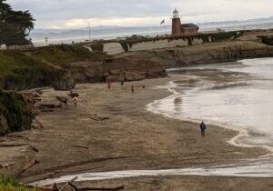 Water – Gentle or Wild?