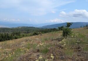 Come Let Us Climb the Lord’s Mountain