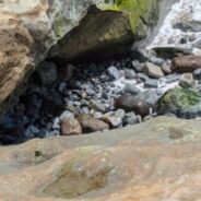 One Wave at a Time – Love Flows