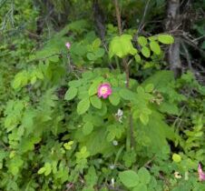 Guard This Rich Trust